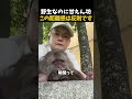 野生の中で一番優しいお猿さんが可愛いすぎる