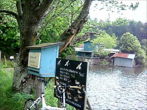 上高津貝塚と宍塚大池