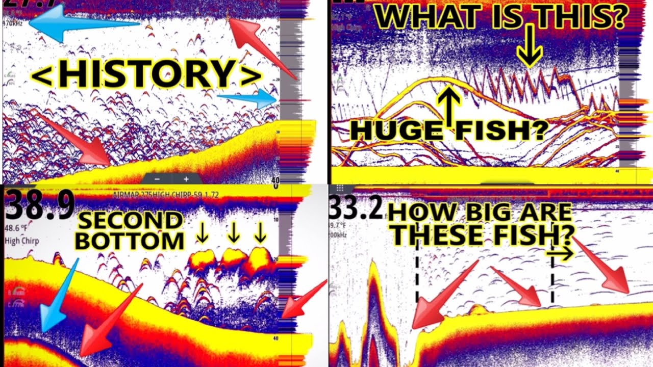 Sonar For Dummies! Fish Finder Explained For Beginners! First 6 Lessons Together In One Place.