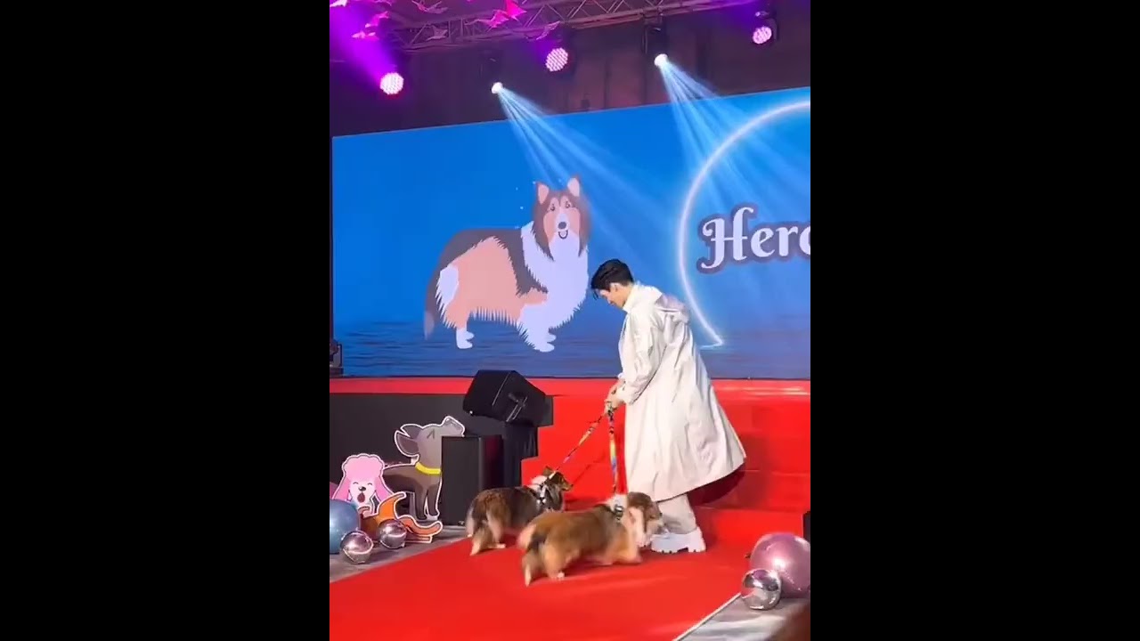 win's pet vs bright's pet😂 the way ame is so calm 