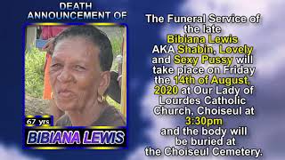 Bibiana Lewis short