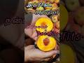 🍑அப்ரிகட்(Apricot fruit)🌿🥑 (benefits)