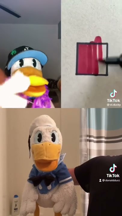 Donald Ducc gets mad with Donald #shorts