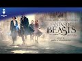 Fantastic Beasts and Where To Find Them Official Soundtrack | Inside The Case | WaterTower