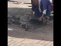 Plaza Marrakech -  - Marruecos, África 2018