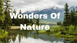 15 Wonders of Nature: From Majestic Mountains to Enigmatic Ecosystems