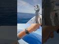These Fish Don’t Have to Die #fishing