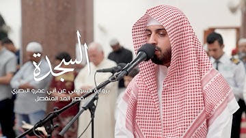 سورة السجدة " برواية السوسي عن أبي عمرو " - شايع التميمي