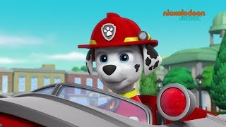 Paw Patrol, la Pat'Patrouille, Au pays des papayes / La récolte de maïs  S05E10 sur Nickelodéon Junior : résumé et diffusions