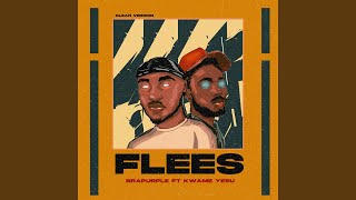 Flees (feat. Kwame Yesu) - Brapurple