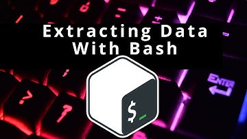 Extract data from a file with bash script Bash Projects