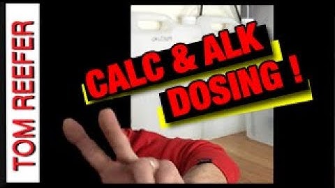 Nano Reef Tank Dosing CALCIUM AND ALKALINITY DOSING!  2 Part - C BALANCE!