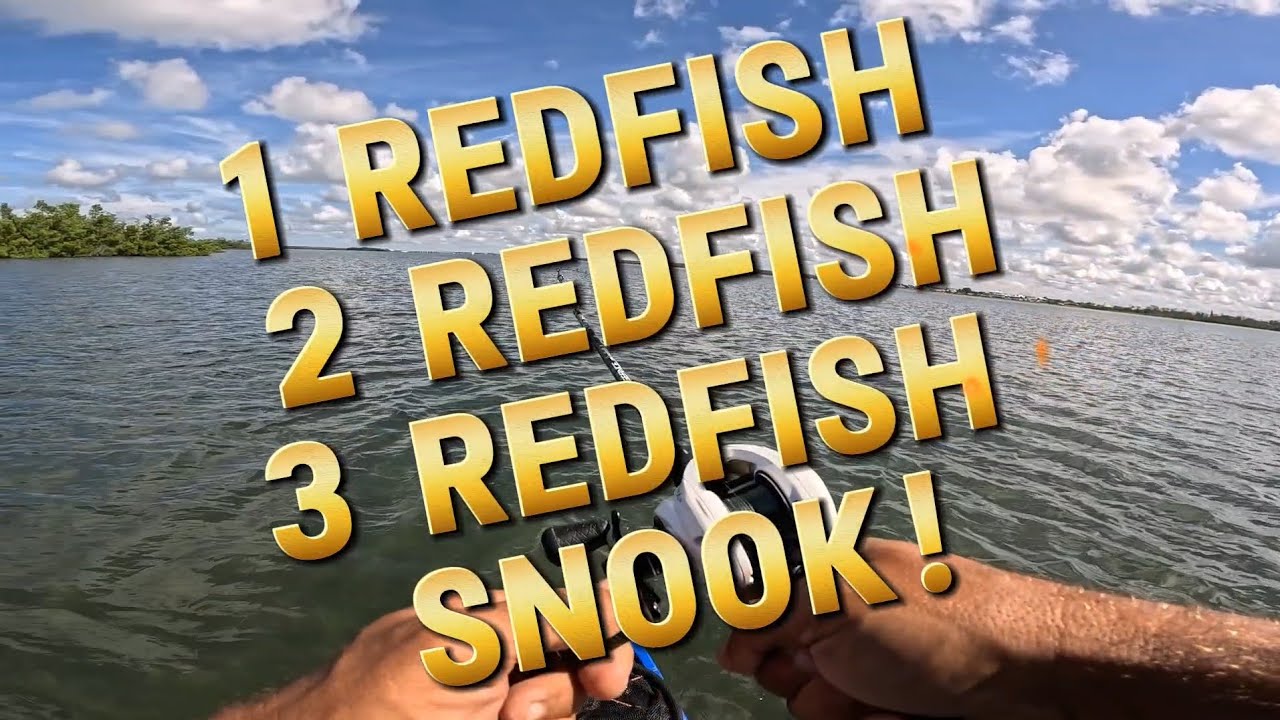 1 Redfish, 2 Redfish, 3 Redfish, Snook! - YouTube