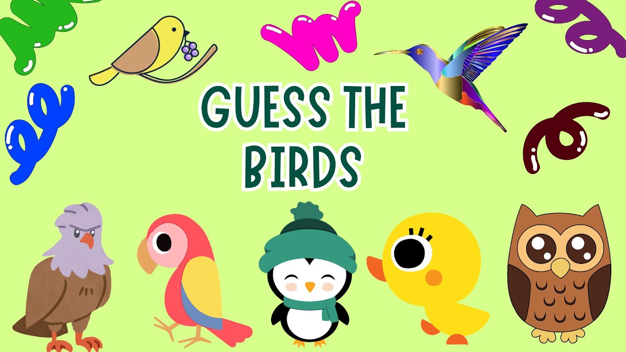 Guess the Birds | Nursery Rhymes & Kids Songs | Kids Learning Video