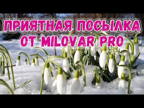 Приятная посылка от