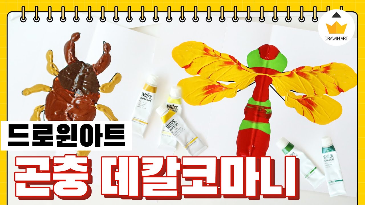 가을 미술활동 🦋 곤충 데칼코마니 - Youtube