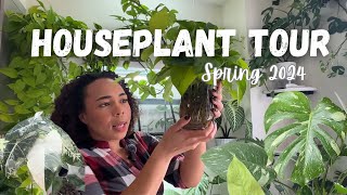 Entire Houseplant  Collection Tour| Spring 2024| Common, Uncommon \& Rare