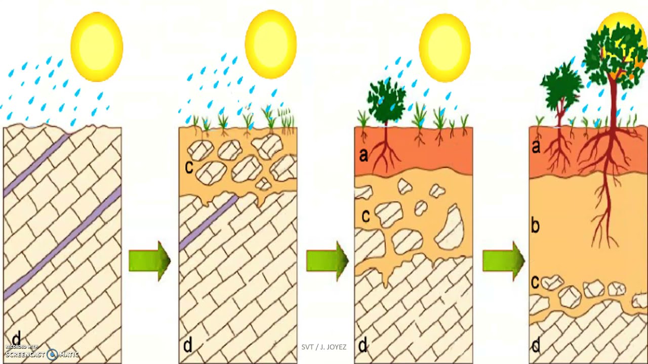 Les caractéristiques des sols