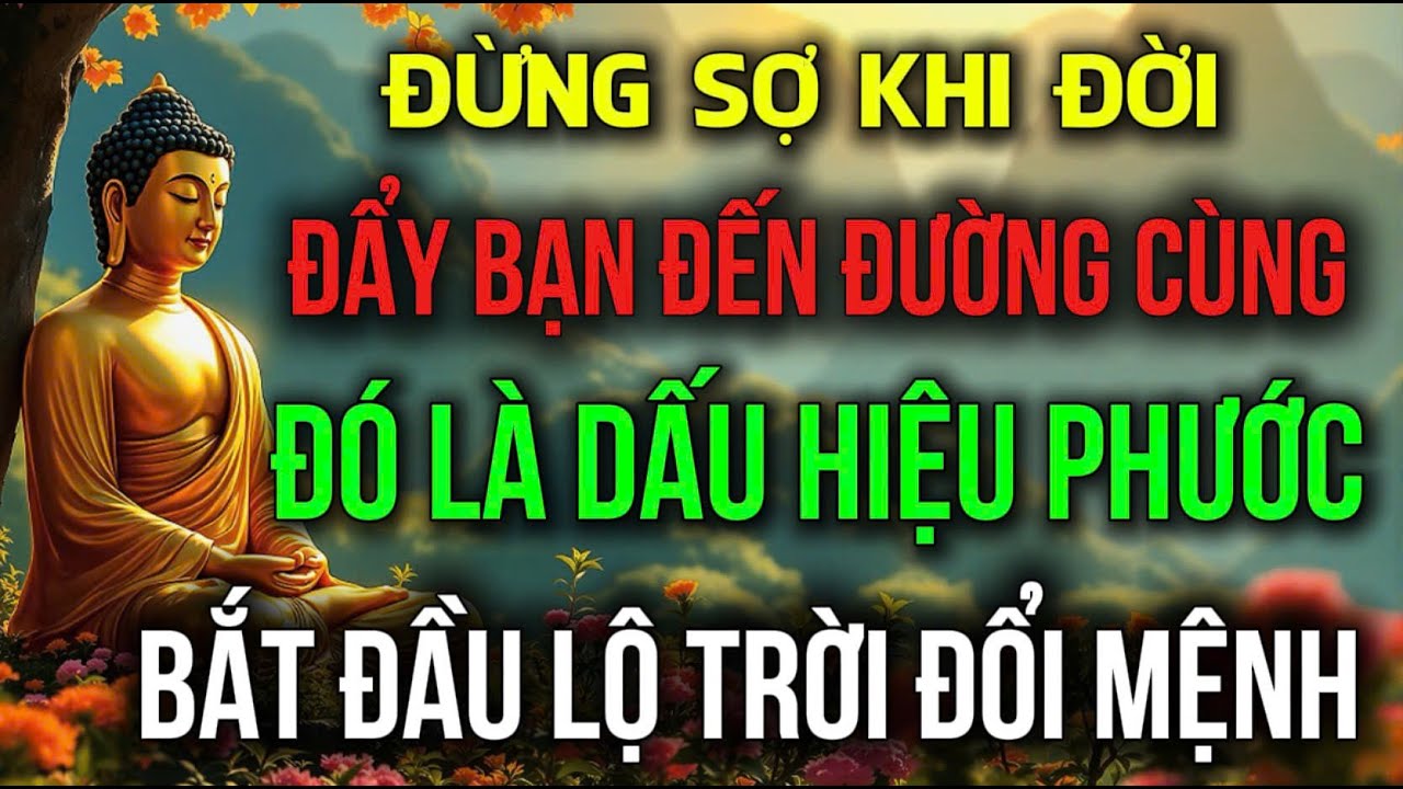 KHI ĐỜI ĐẨY BẠN VÀO ĐƯỜNG CÙNG - ĐÓ LÀ LÚC DẤU HIỆU PHƯỚC LỘ MẶT, TRỜI ĐỔI MỆNH | Đóa Hoa Thiện Lành