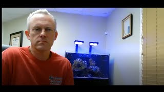 SBA Paycheck Protection Program Issues Explained.