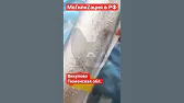 АМОН РА