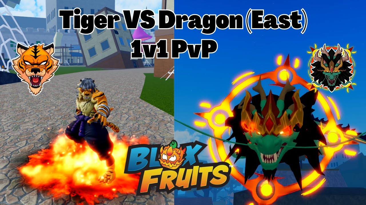 Переработка Тигрового фрукта против Драконьего фрукта (Восток) 1 на 1 PvP: что лучше? Blox Fruits