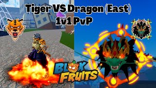 Tiger Fruit Rework Vs Dragon Fruit east 1v1 Pvp Which Is Better Blox Fruits