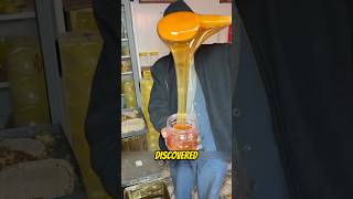 Download Lagu This is why pure honey never goes bad, even after 3,000 years MP3 Download Lagu This is why pure honey never goes bad, even after 3,000 years MP3