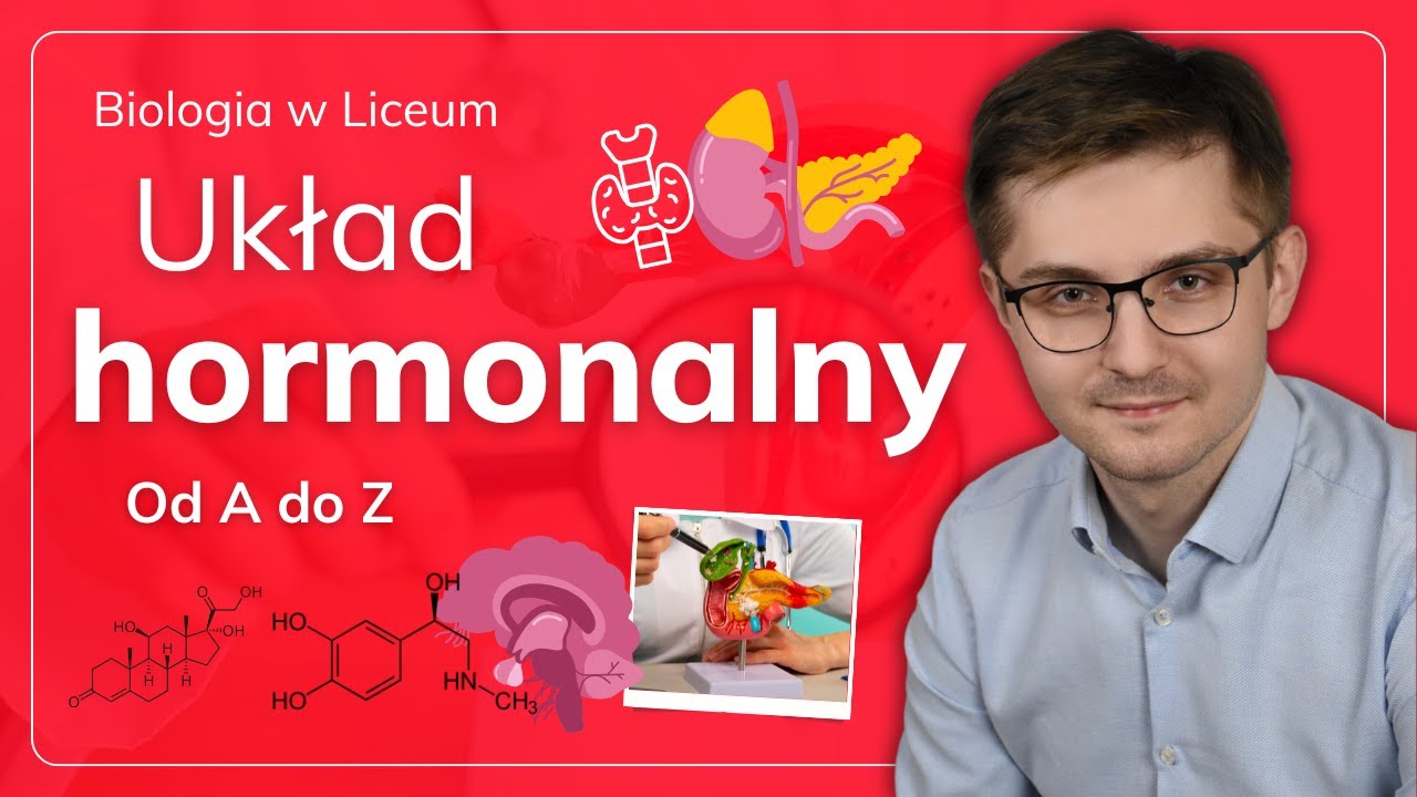 Układ hormonalny od A do Z - YouTube