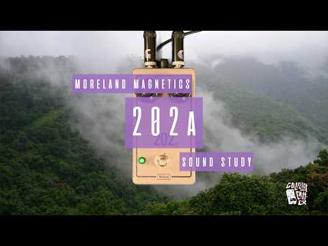 Sound Study // Moreland Magnetics - 202a
