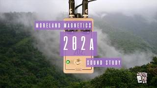 Sound Study // Moreland Magnetics - 202a