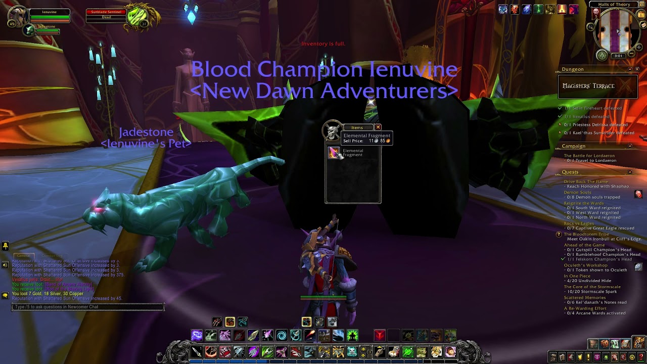 World of Warcraft - Playing Main Character - Night Elf Hunter