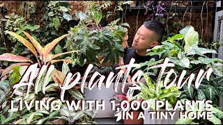 Living With Over 1,000 plants  In a Tiny Home | Common to Rare | Learn their Names!