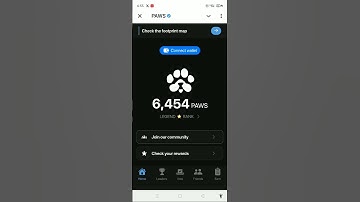 Paws new task mystery quest solved |