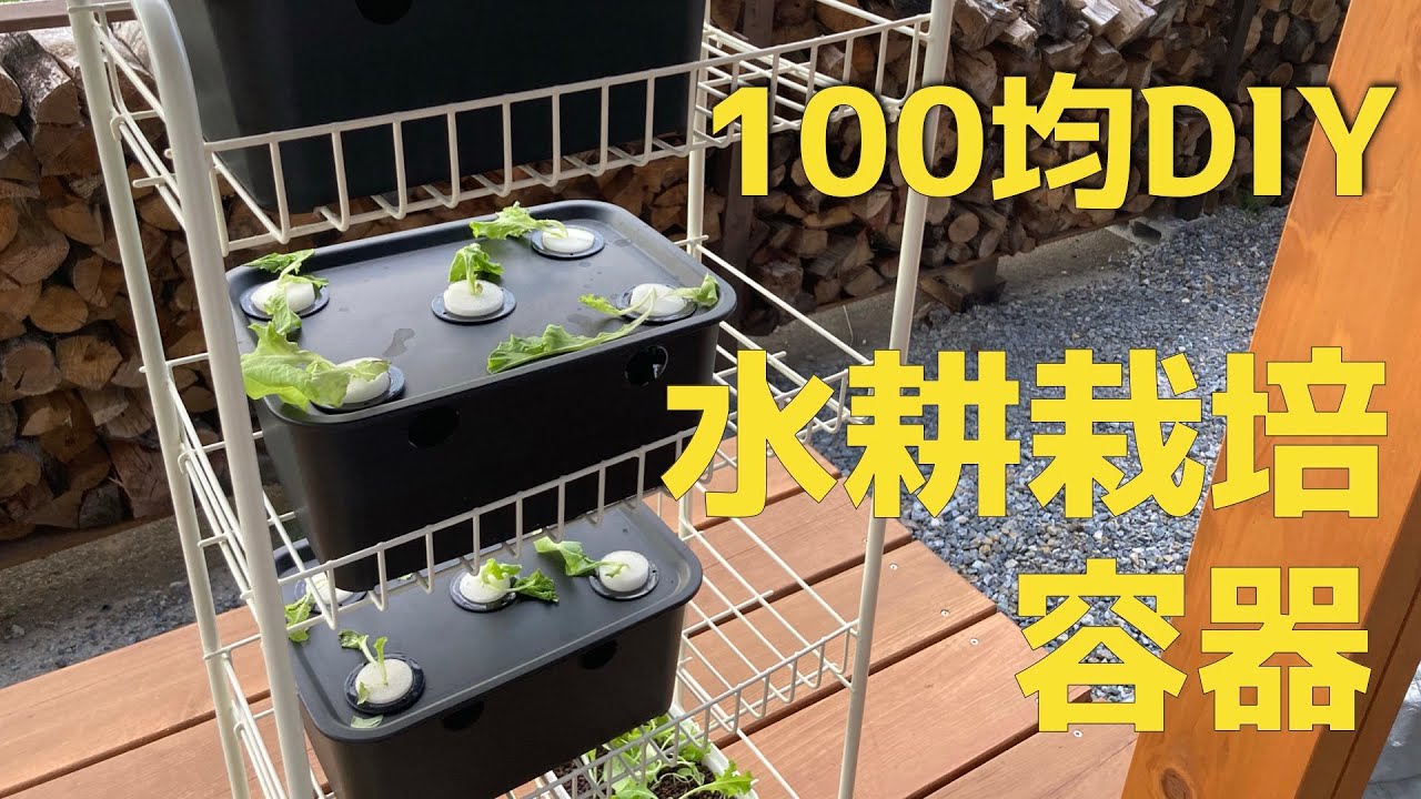 100均グッズで水耕栽培容器を自作してみた　ハイポニカで水耕栽培