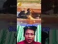 Leopard vs Crocodile 😱🐆🐊 | চিতাবাঘ কুমিরের শিকার #shorts #explore