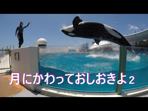 おかえりなさい 怪我から復帰した小松トレーナーさんです Orca Performance