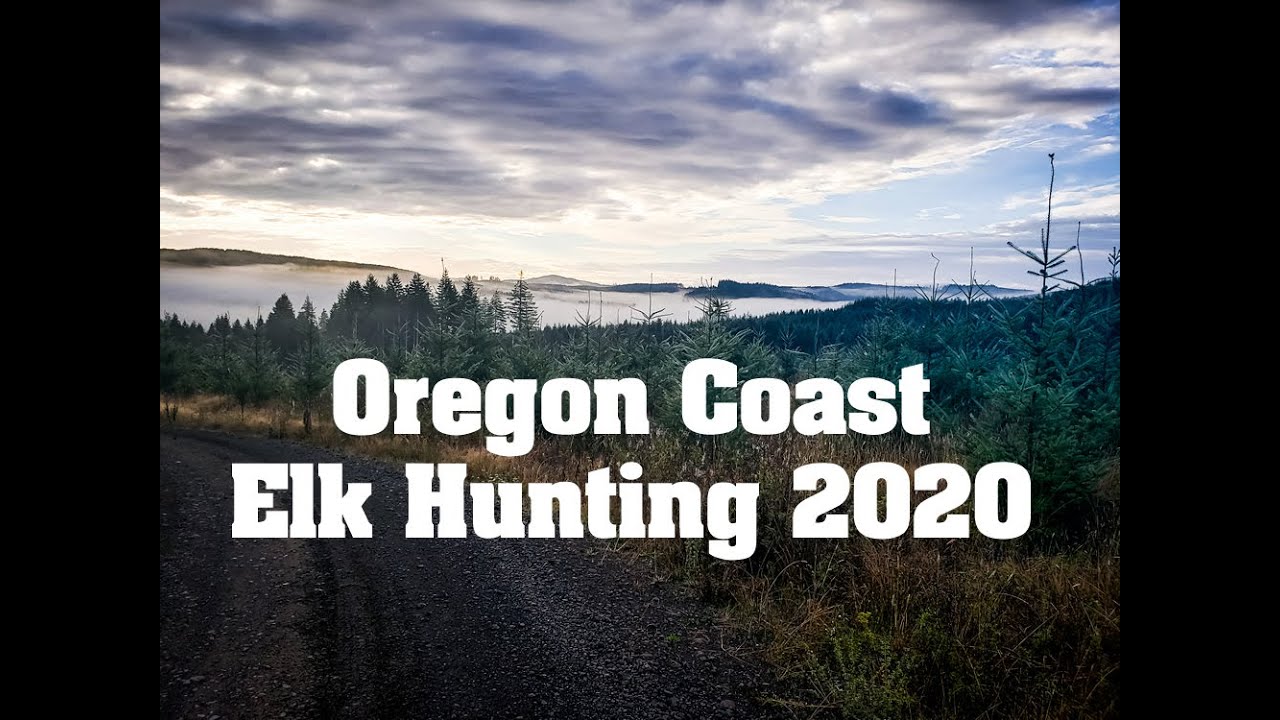 2020 Oregon Coast Roosevelt Elk Hunting Tag Soup YouTube