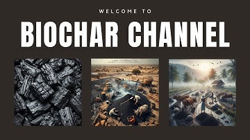Biochar Channel | Introduction