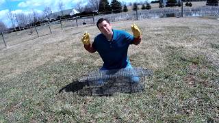 How to Capture Trap Shy Raccoons