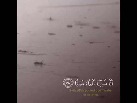 فلينظر الإنسان إلى طعامه أنا صببنا الماء صب ا يوسف ابكر