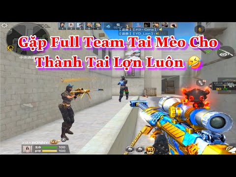 CF Mobile/CF Legends : Gặp Team Sniper Tai Mèo Bắn Cho Thành Tai Lợn Luôn =))
