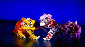 LNYF 2024: Lion