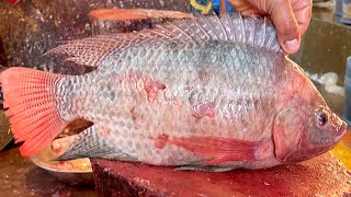 Amazing Big Tilapia Fish Cutting Skills Live In Fish Market Bangladesh