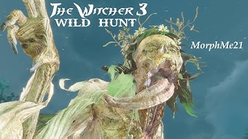 Witcher 3 - part 4: Devil by the Well