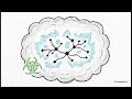 The Price of Ecstasy: Glutamate Storms and the Post-Orgasmic Crash