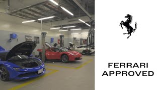 What is Ferrari Approved? | ما هو برنامج فيراري المعتمدة؟