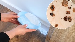 How to Get Rid of Bed Bugs at Home – The Best Natural Remedies!