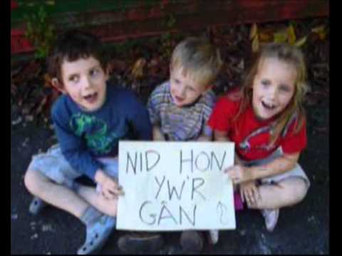 Immagine di (Nid) Hon Yw'r Gân Sy'n Mynd i Achub yr Iaith
