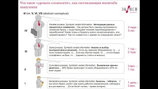 29. Эллиот Джакс. Иерархия в организации.